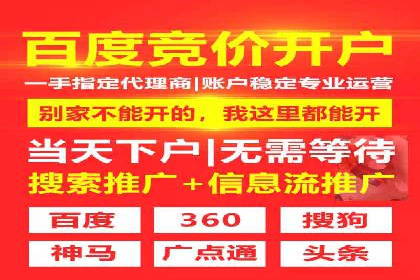 SEM公司成功案例分享：搜索引擎优化的力量